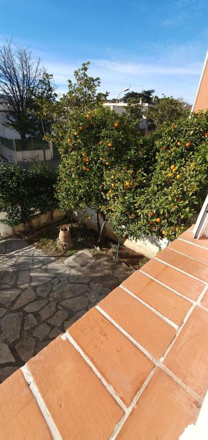 Appartement Entier Au Dessus De Villa, Climatisation Reversible Poele A Bois Tres Chaleureux , Wi Fi Parking Privee Gratuit Situation 500 M, Plage Et Centre Ville Санари-сюр-Мер Екстериор снимка